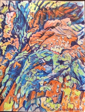 Yosemite Lichen Orange
